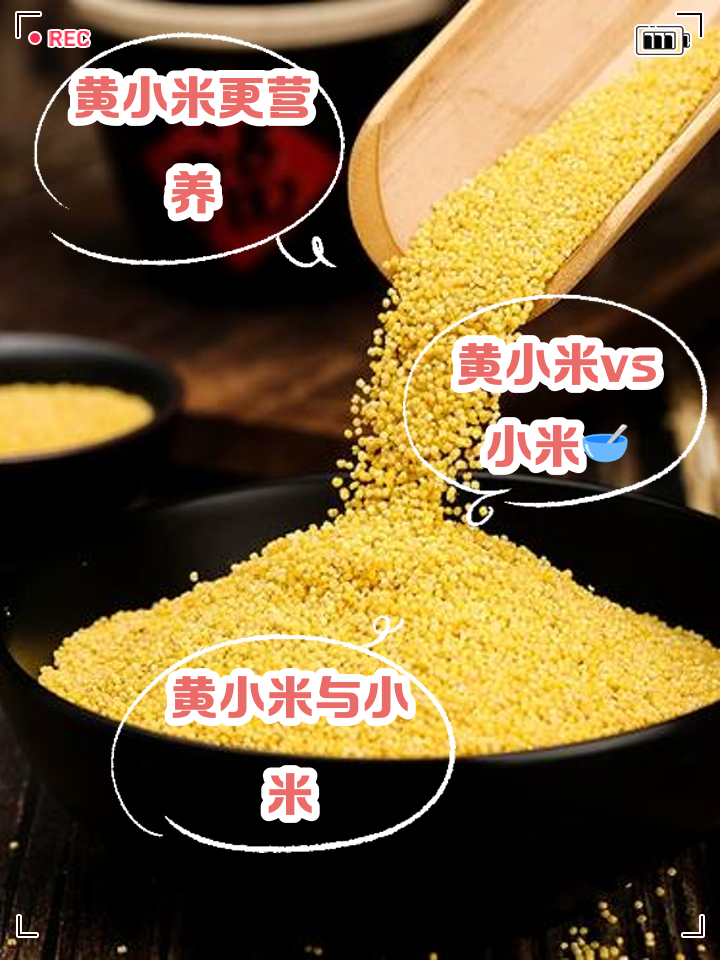 小米区别 糜子米和小米区别 