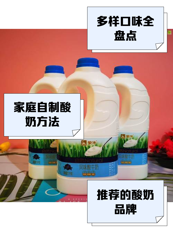 酸乳风味酸乳的区别 酸乳和风味酸乳的区别 