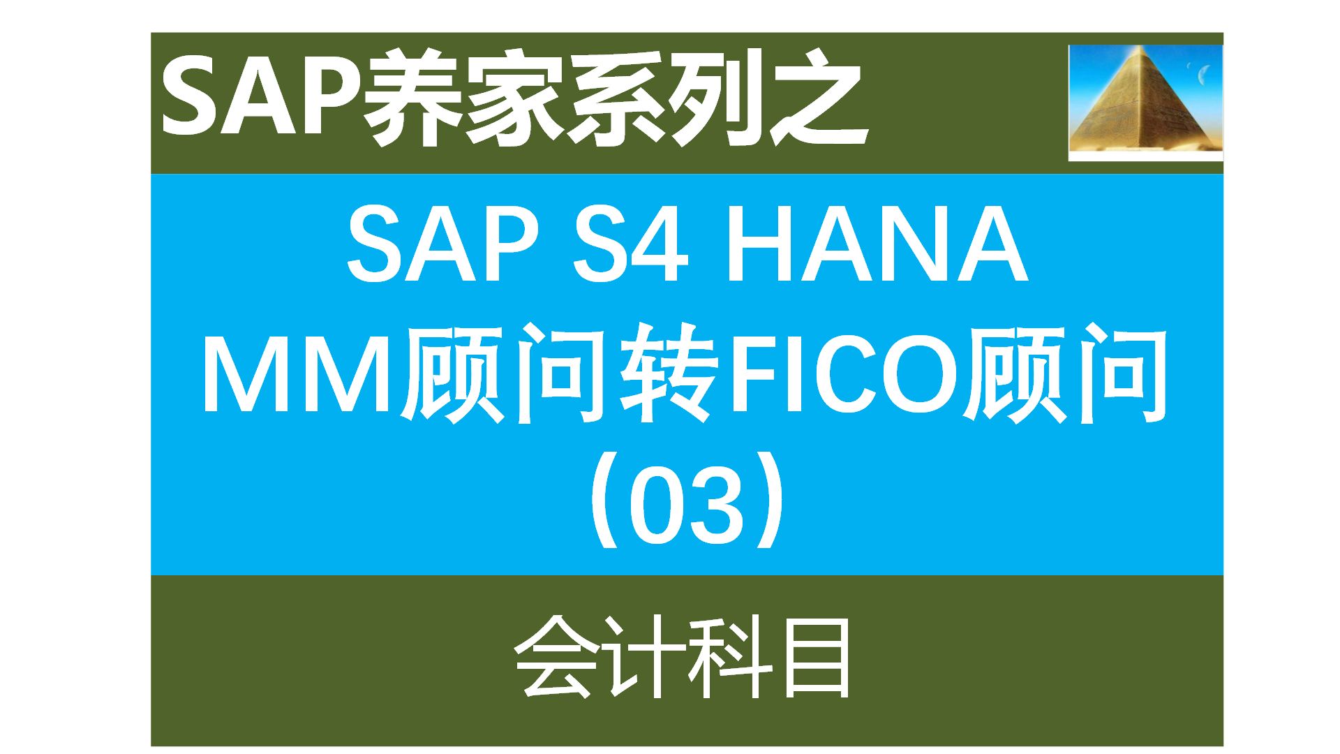 SAP科目的区别 sap 科目设置组 