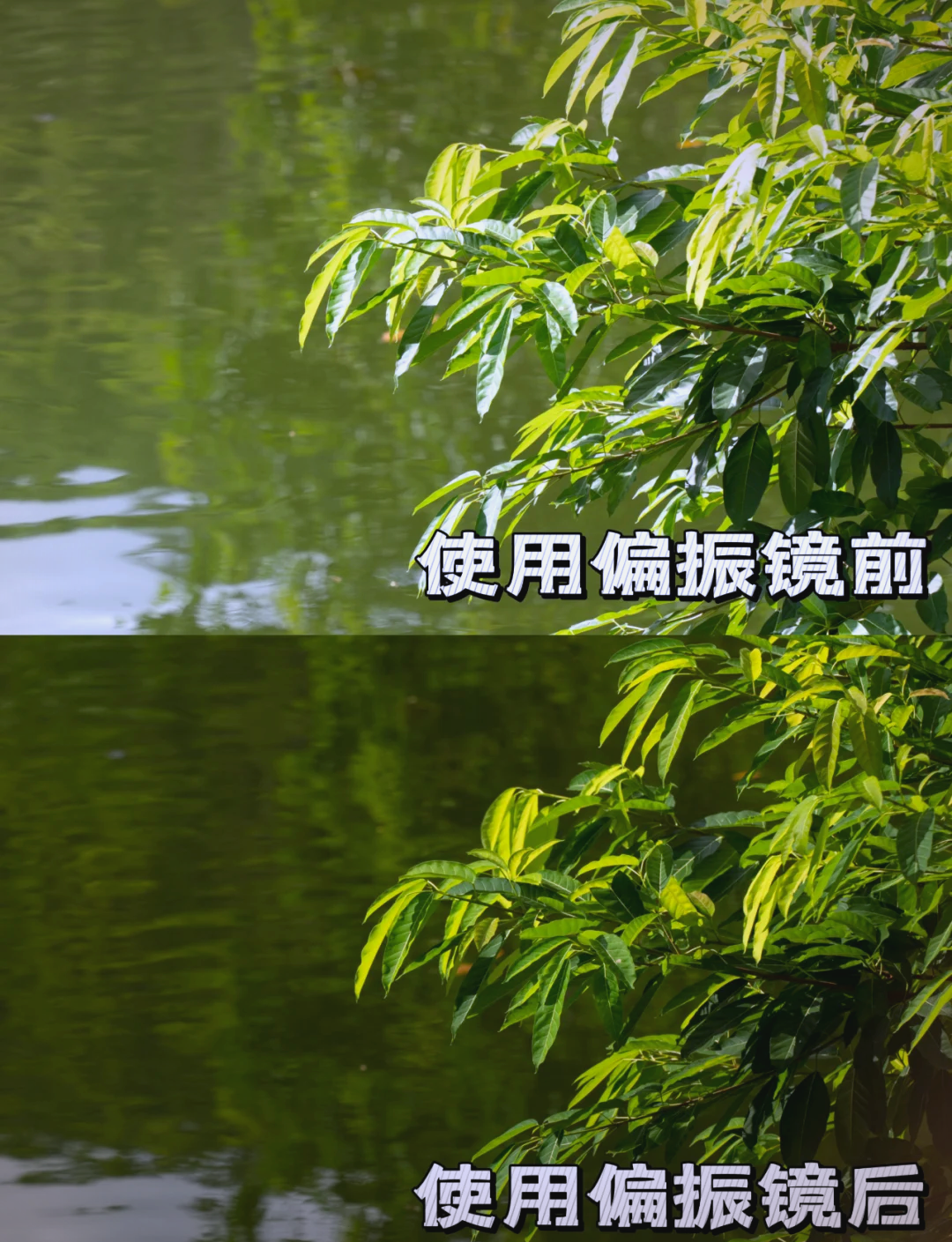 平滑与滤波区别 平滑滤波是均值滤波吗 