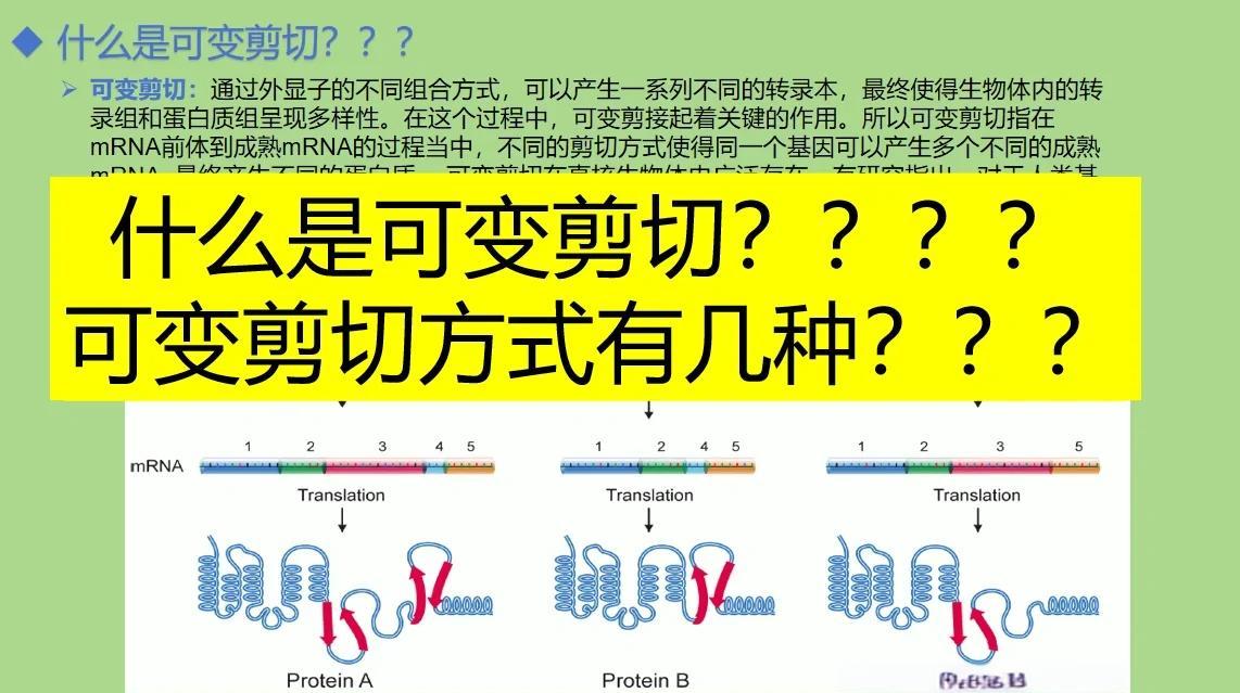 复制与剪切的区别 复制与剪切有何区别 