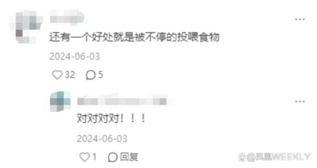 实力碾压！东北亚球队奋力逐鹿巅峰的简单介绍